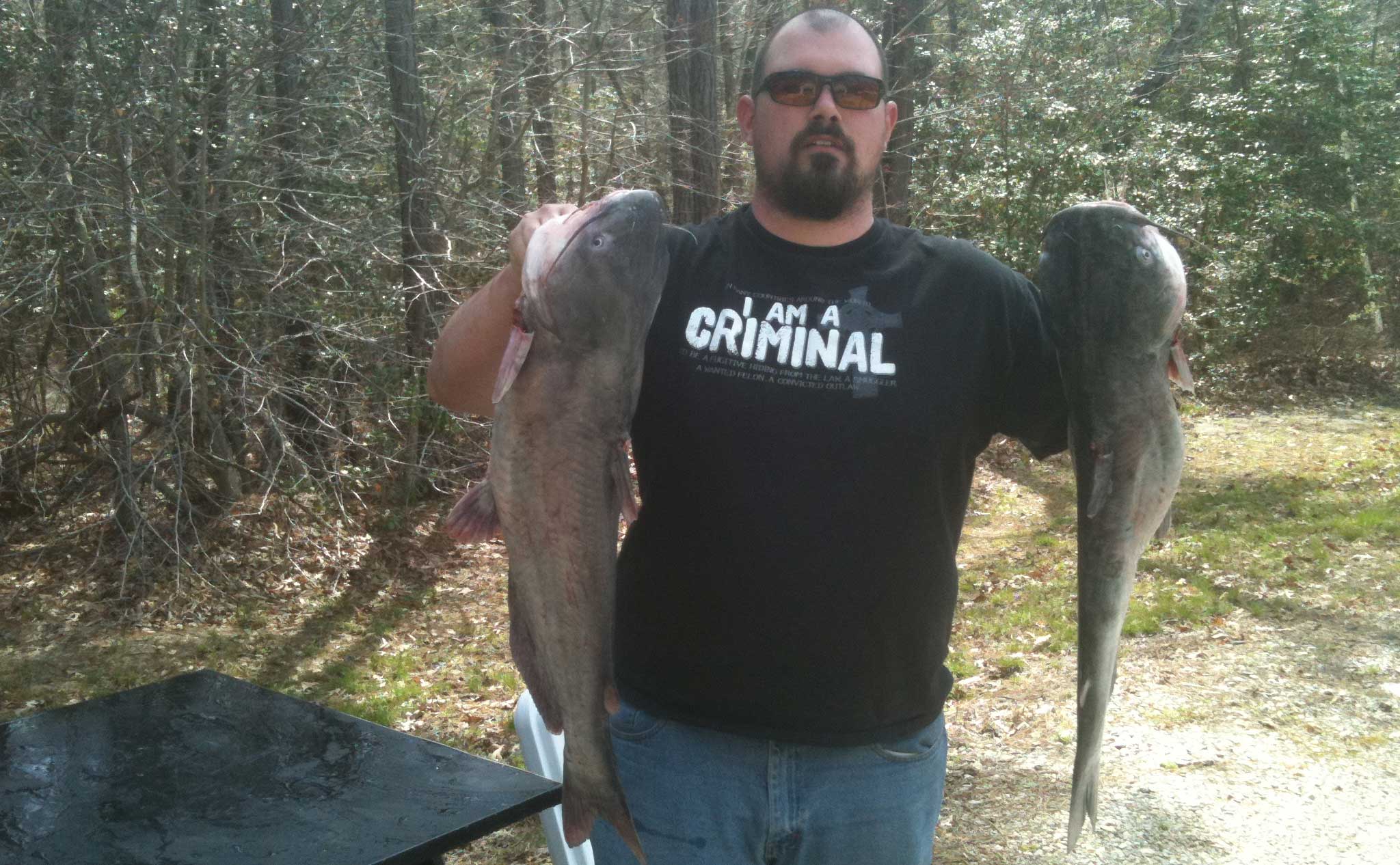 Catfishing bounty