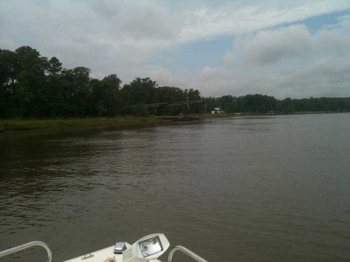 Catfishing bounty